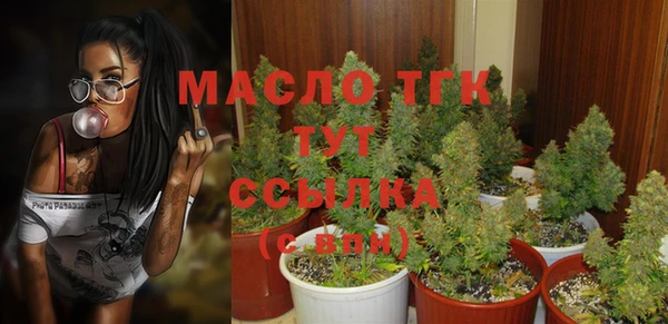 меф Новодвинск