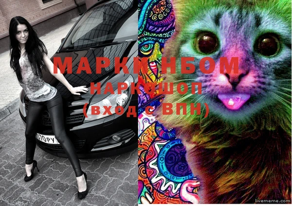 марки nbome Новозыбков