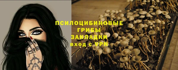 марки nbome Новозыбков