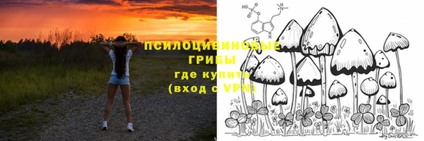марки nbome Новозыбков
