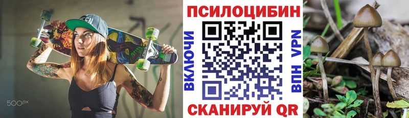 Псилоцибиновые грибы Cubensis  купить   Копейск 