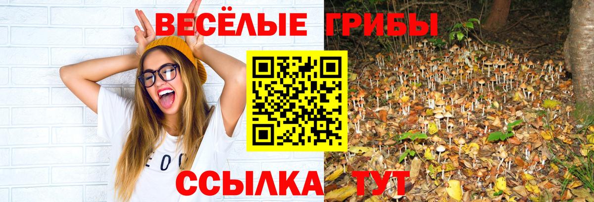 Галлюциногенные грибы мицелий  Вход с VPN  Галлюциногенные грибы прущие грибы  Копейск 