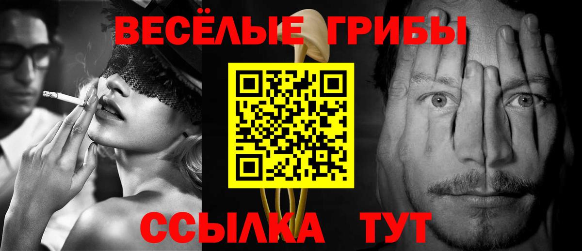 Псилоцибиновые грибы Psilocybine cubensis Копейск